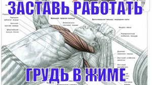 Жим Лежа : Заставь Работать Грудные Мышцы. Ставь Локти и Ноги Правильно!