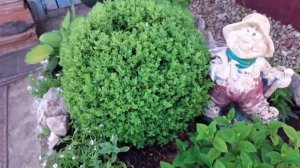 16 июня 2022 г.Жизнь простых людей в деревне.Будни, одного дня. Мобильный способ посадки кабачков .