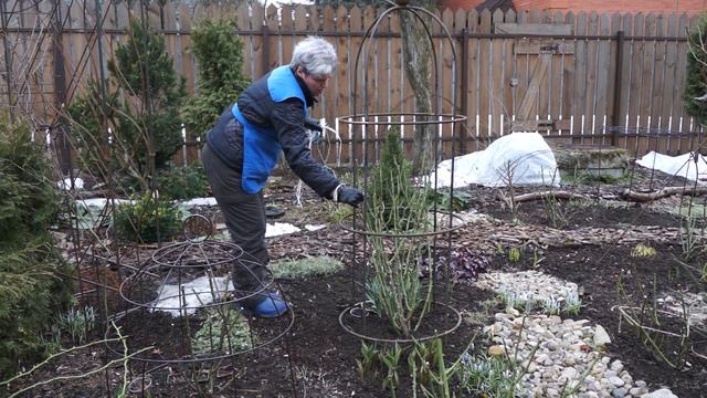 Опора для розы (садовый обелиск). Устанавливаю новинку своими руками. смотреть онлайн