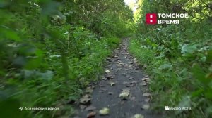 Новости региона с Александром Стучебровым