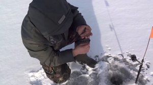 Ловля щуки  зимой!Нарезка.