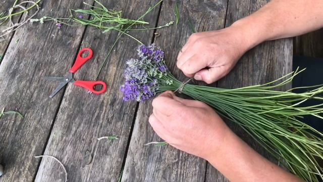 Лайфхак / Как правильно сушить лаванду, чтобы она стояла год, как только с клумбы !! смотреть онлайн