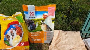 Немного про комбикорма для перепелов