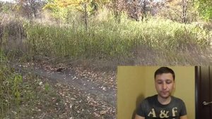 Клещ. Цикл развития клеща, ареал обитания. Клещи осенью