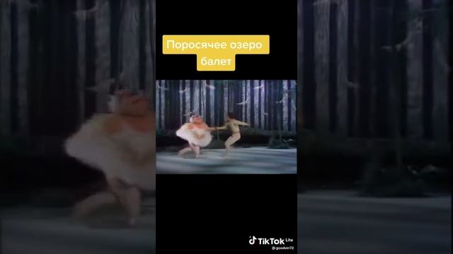 поросячий балет ???