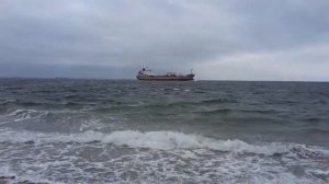 Осенние каникулы в Голандии