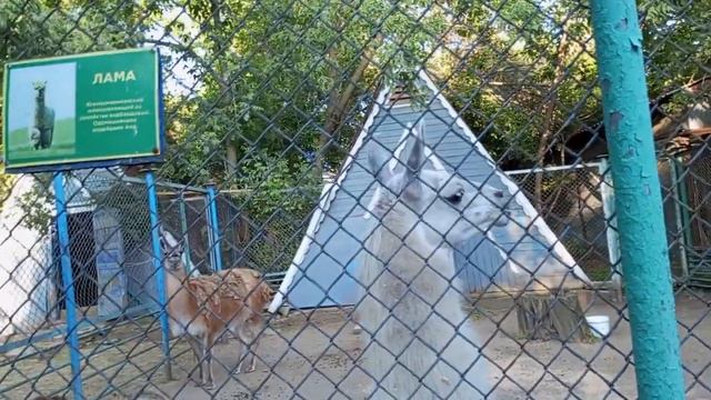 #луганск парк 1мая 2023 год смотреть онлайн