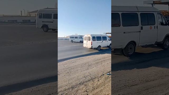 Қызылорда. Қалалық ІІБ-сы және қалалық әкімдіктің ЖКХ бөлімі, бағдаршам орнатуға әрекет жасаңыздар. смотреть онлайн