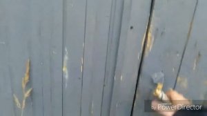Пинюг-Пушма разъезд,болото. Подосиновский район. Кировская область