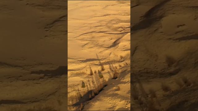 Чарская пустыня. Забайкальский край.
