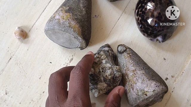 С моими подругами из африканской деревни #Мтвапа #Кения