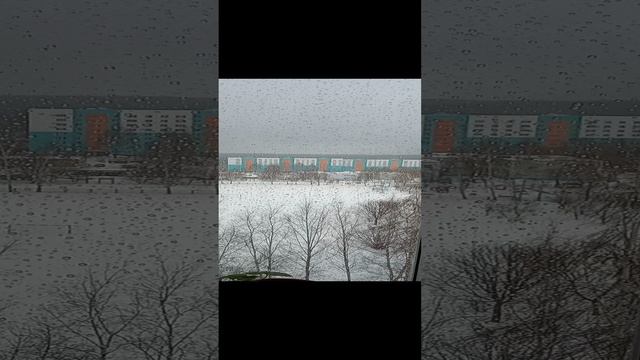 Погода 26.02.23
