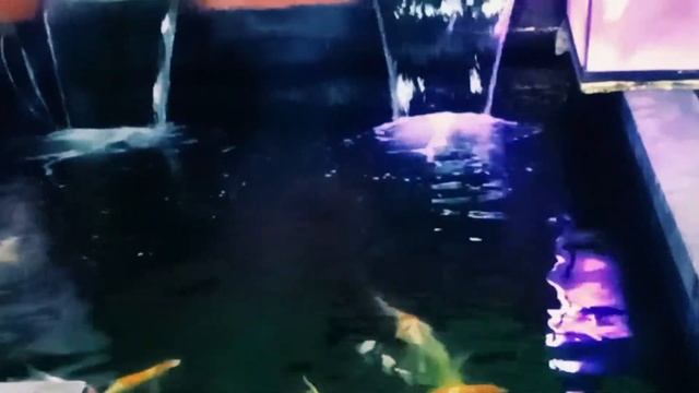 tsurumi OMA3(AUTO) submersible pump/pompa celup otomatis/review смотреть онлайн