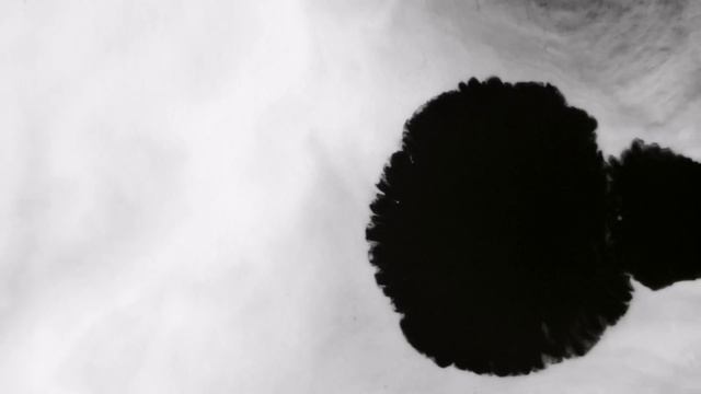 L’Eau Papier, an homage to creation l DIPTYQUE PARIS смотреть онлайн