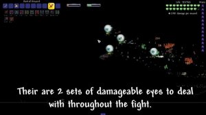 How to Beat Moon Lord in D-mode! ||Terraria Calamity Mod Boss Guide||