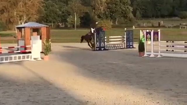 Hilmar Meyer Sporthorses Diarado Dream 2018 Luhmühlen 2 смотреть онлайн