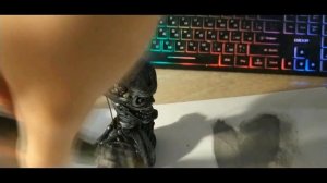 КАК ПОКРАСИТЬ ФИГУРКУ ИЗ ПЛАСТИЛИНА?