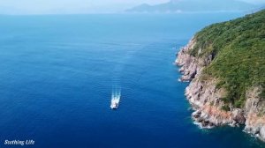 Музыка соединяет ваши сердца, Сближает людей в этой хаотичной жизни, Музыка для всех❤️❤️#1