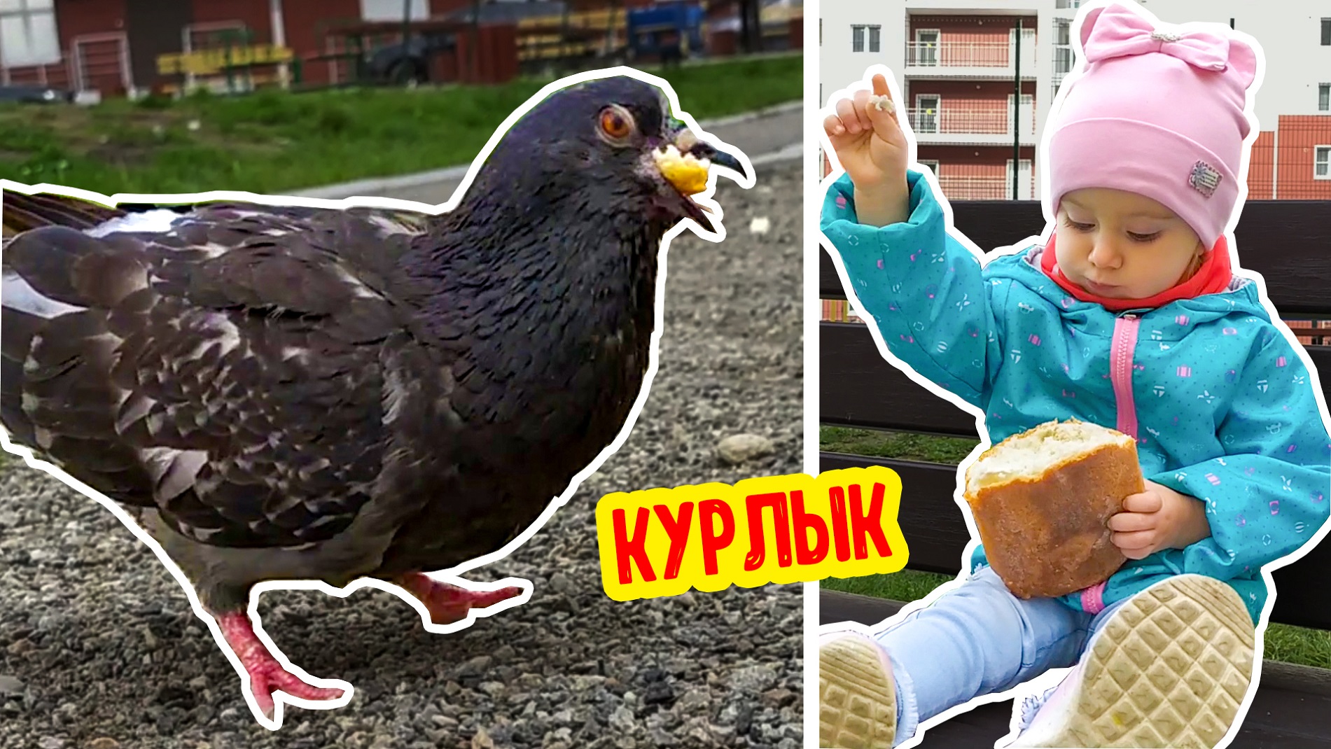 Птички хотят кушать! Покорми их! Аня и мама кормят птиц История для детей смотреть онлайн