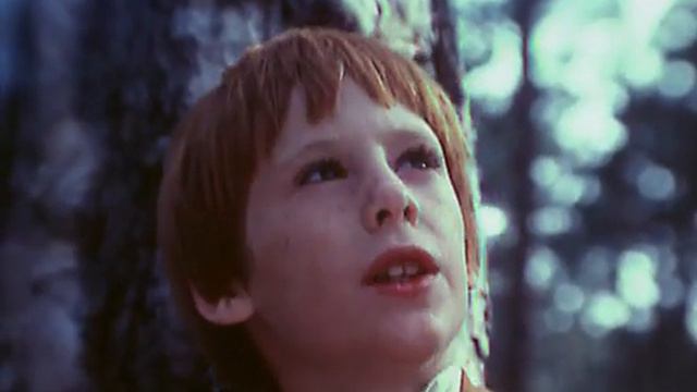 Тайна, цвета апельсина(песня из к/ф "Рыжий, честный, влюблённый") смотреть онлайн