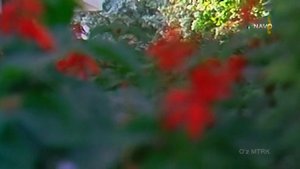 ГУЛОМЖОН ЕКУБОВ ВАХОБОВ АБДУЖАББОР АНДИЖОН