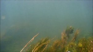 Подводная прогулка озеро Кенон Чита