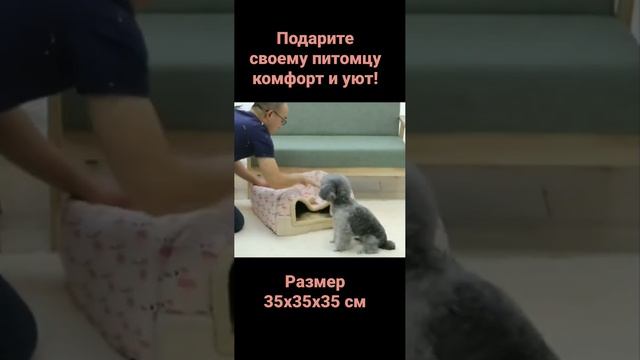 Домик -лежанка размер 35х35х35 см, подходит для кошек и собак мелких пород