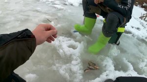 Учимся ловить окуня. ГЛУХОЗИМЬЕ.