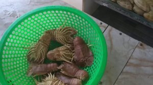 Едим морских гадов. Морепродукты в Муйне. Вьетнам.