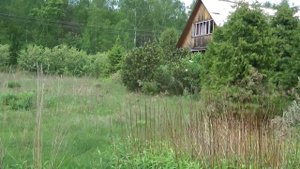 Мы продаём, а вы можете купить дом в д. Дубки и 25 соток ухоженной земли.