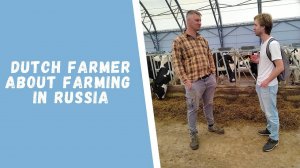 "У фермеров в Голландии нет будущего" - голландский фермер о том, почему он переехал в Россию