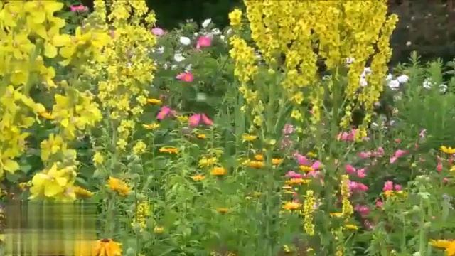 А завтра может и не быть- Ирина Самарина смотреть онлайн