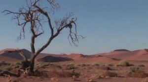 Намибия. Золотой глобус - 93