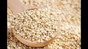 Киноа как готовить. Киноа рецепт. Крупа киноа.