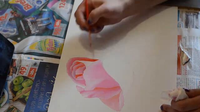 Роза Розовна. Масло. смотреть онлайн