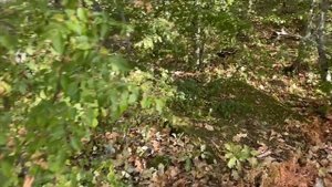 12 дольменов в СНТ "Бытовик"/ с. Возрождение, ул. Мира до конца вверх 2 км, где дачи.