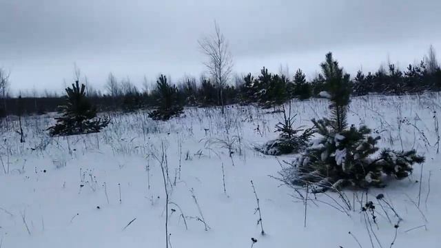 Удачная охота, добыли зайца, самодельный мотобуксировщик АндреАс в деле, тучи тетеревов! смотреть онлайн