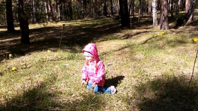 Детское видео Играем с Женей. Гуляем по весеннему лесу. Цветы в бору. смотреть онлайн
