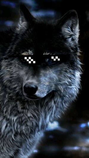 Стрим