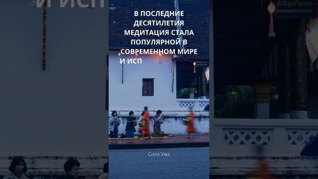 Сила ума: Как медитация меняет жизнь