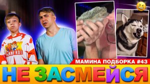 ЁЖИК УБИЙЦА и КРИВОЙ ХАСКИ! Не умри от смеха челлендж! // Мамина подборка #43