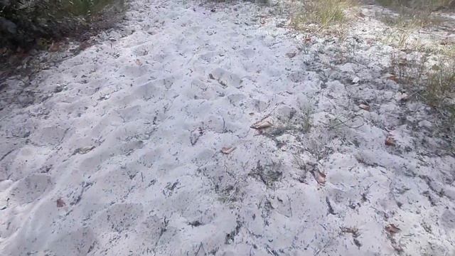 Светловодск 2022 Выдала мужу новые штаны .РЫБАЛКА Отдых смотреть онлайн