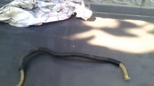 ВНИМАНИЕ БЕЗРУКИЕ МАСТЕРА-Замена топливного фильтра