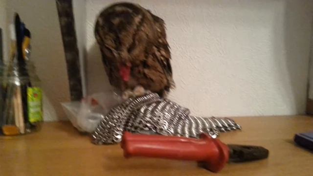 Запасы на зиму)) смотреть онлайн