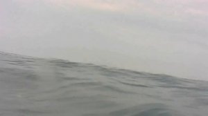Ловля крабов в Черном море