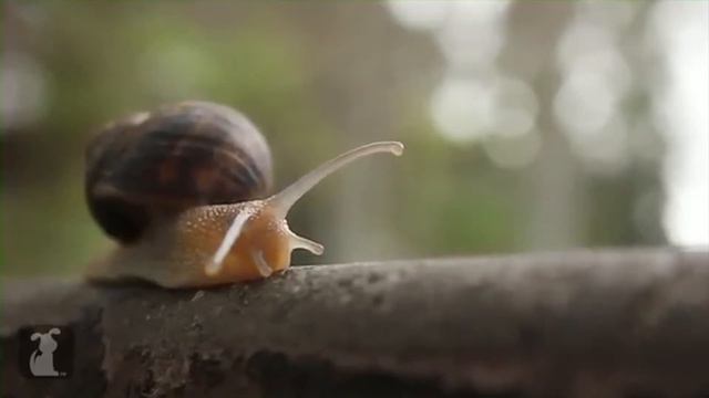 what is bennett thinking about смотреть онлайн