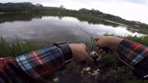 Мормышинг  Ловля на мормышку спиннингом на городском озере