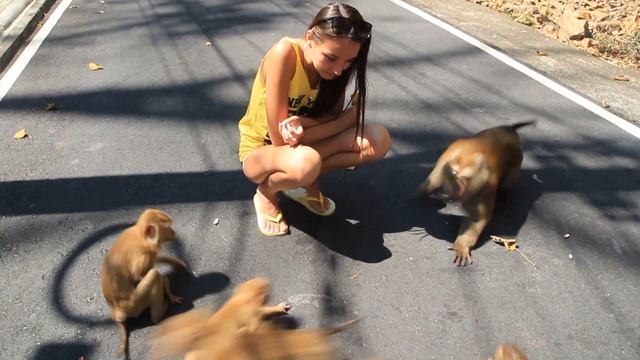 Любимый Пхукет Гора обезьян смотреть онлайн