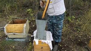 Пересадка пчёл из Дадана в Удав