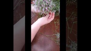 Букет невесты из гипсофилы . Мастер класс по флористике
